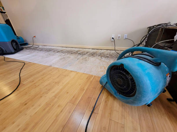 Professional Water Damage Repair technician working in Everglades City, FL